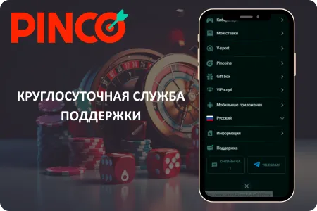 Pinco App Поддержка