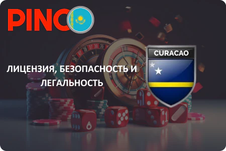 Лицензия Pinco
