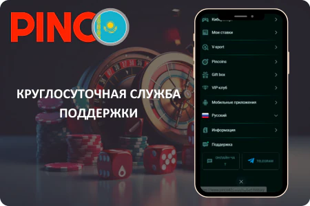 Поддержка Pinco